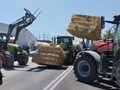 Συμβολικό μπλόκο κτηνοτρόφων για την εξάπλωση της ευλογιάς